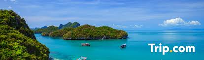 บริการจากคู่สัญญาออนไลน์ | Trip.com